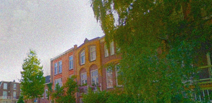 Nieuwe bewoners op de Vondelstraat